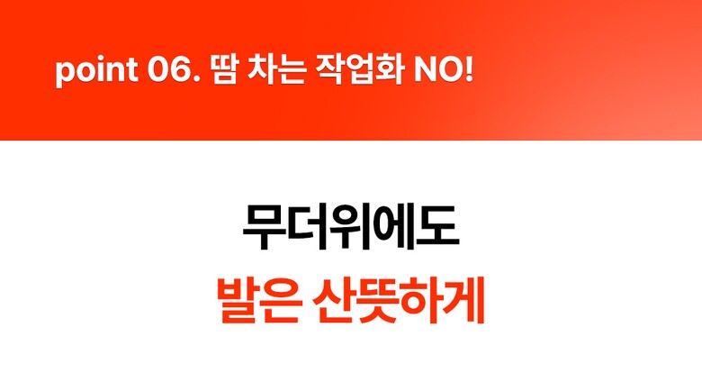 메쉬안전화, 우수한통기성, 통기성 안전화