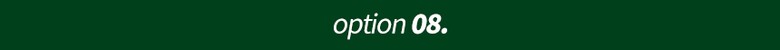 option-08.jpg
