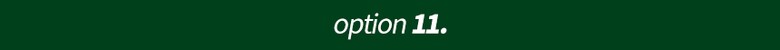 option-11.jpg