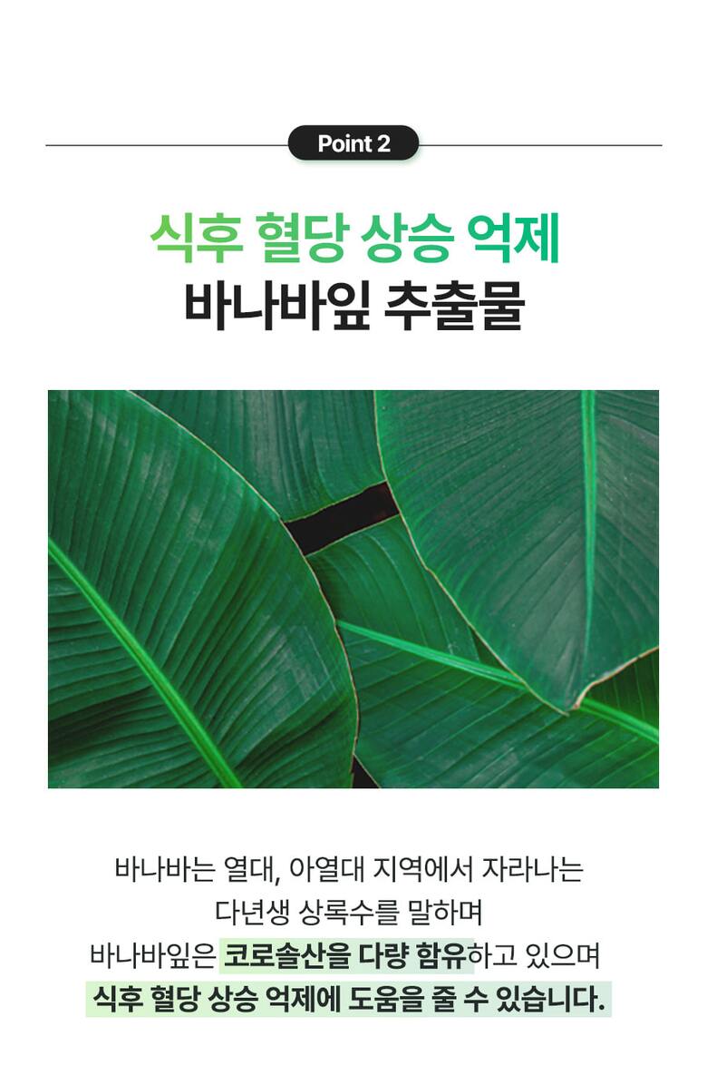 체지방컷초록이포켓