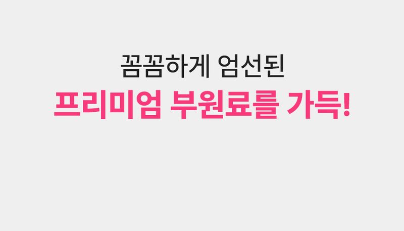 분홍이쓰리데이즈2