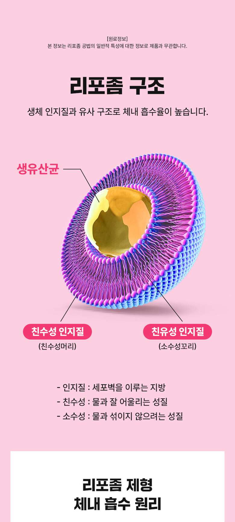 리포좀생유산균