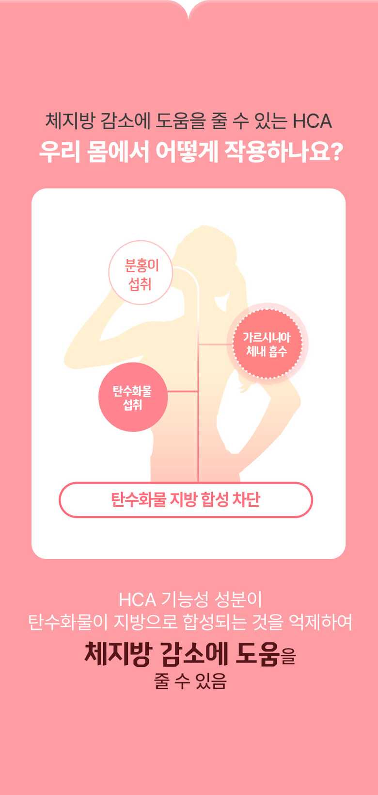 분홍이_슬림밸런스