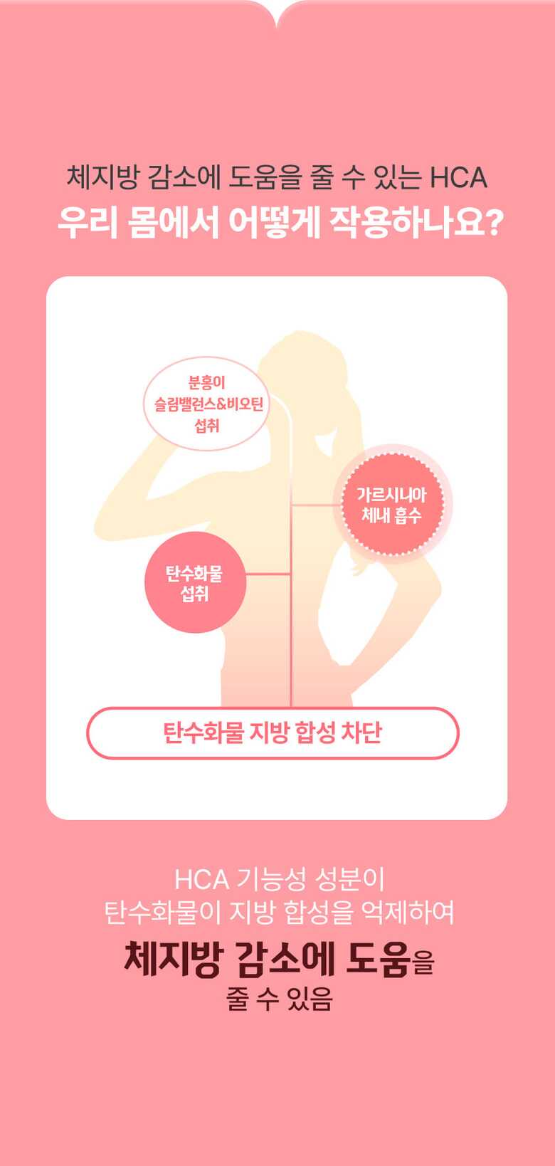 분홍이_슬림밸런스
