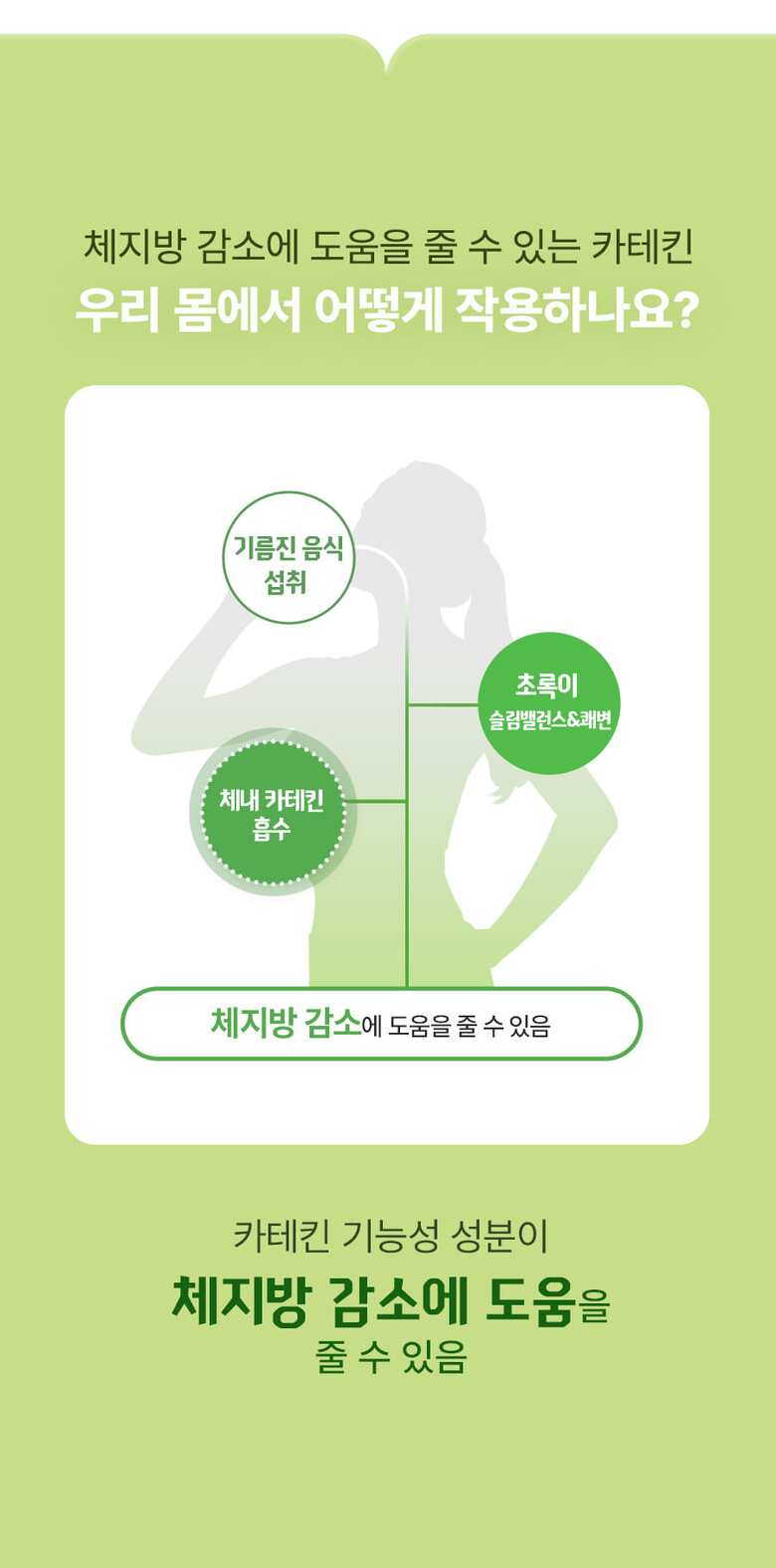 초록이_슬림밸런스